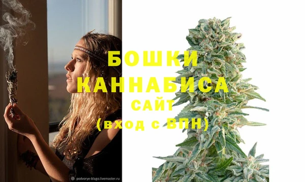 хмурый Лиски