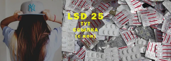 хмурый Лиски