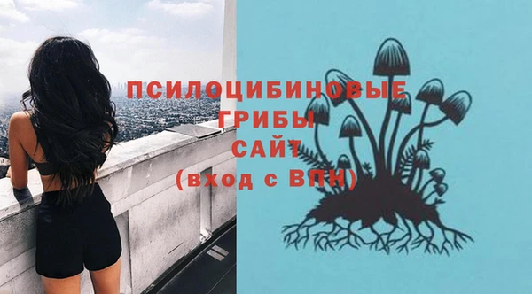 2c-b Магадан