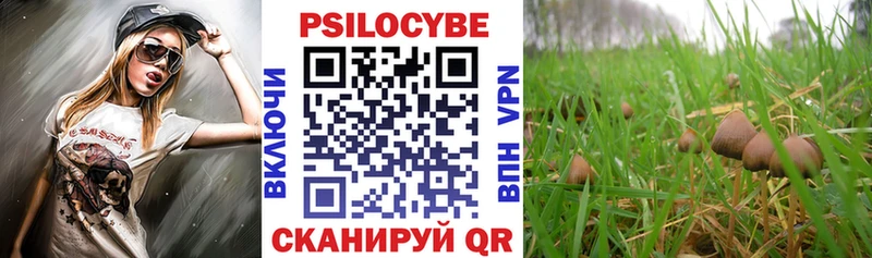 где купить наркоту  Сосновый Бор  Псилоцибиновые грибы Magic Shrooms 