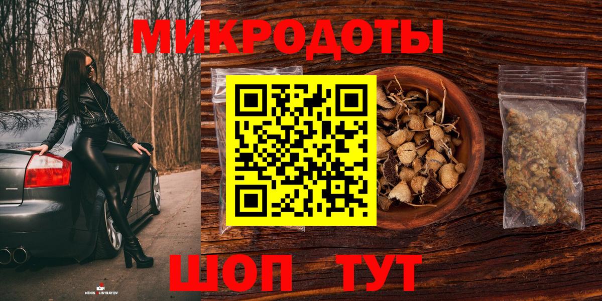 Галлюциногенные грибы Psilocybe Сосновый Бор